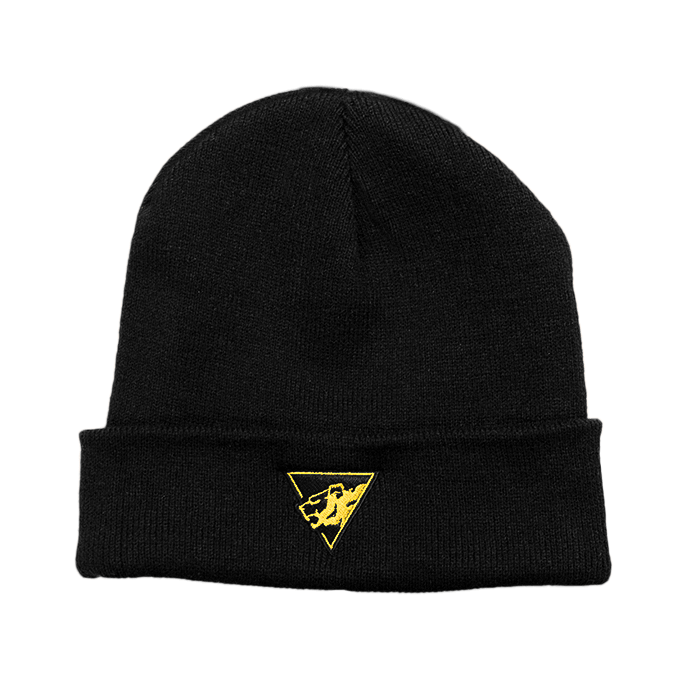 Beanie Product Image